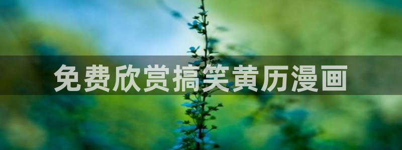 斗罗奇遇漫蛙