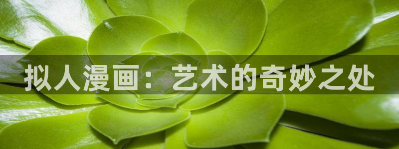 漫蛙漫画网页版使用方法