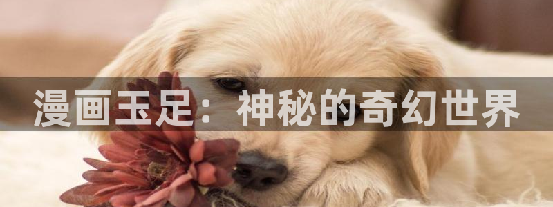 漫蛙免费吗