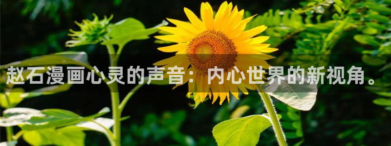 漫蛙可以登录吗