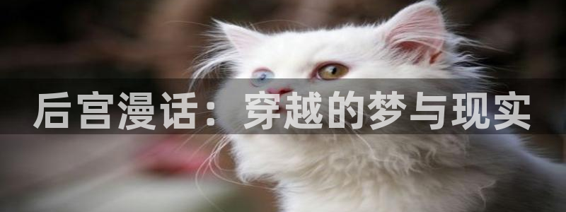 漫蛙台
