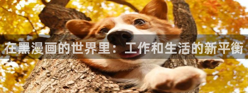 漫蛙在线看：在黑漫画的世界里：工作和生活的新平衡