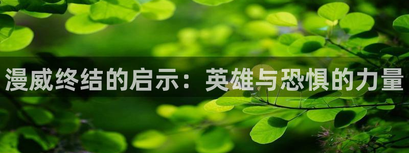 漫蛙官网入口ios：漫威终结的启示：英雄与恐惧的力量