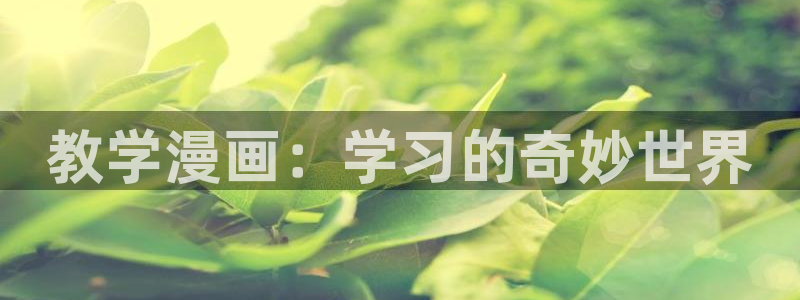 漫蛙里：教学漫画：学习的奇妙世界