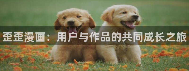 漫蛙manwa2韩漫：歪歪漫画：用户与作品的共同成长之旅