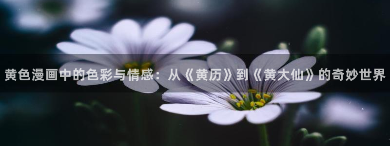 漫蛙manwa防走失站 安卓版：黄色漫画中的色彩与情感：从《黄历》到《黄大仙》的奇妙世界
