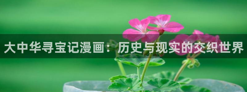 漫蛙专注：大中华寻宝记漫画：历史与现实的交织世界