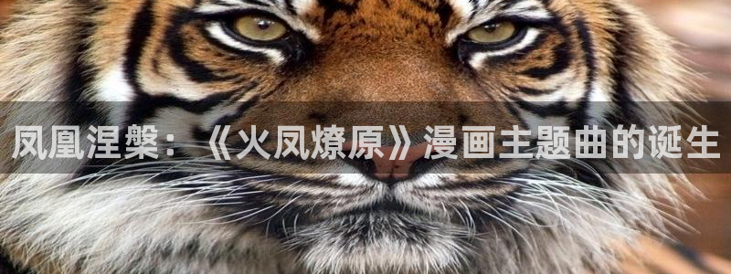 漫蛙网页版防走丢：凤凰涅槃：《火凤燎原》漫画主题曲的诞生
