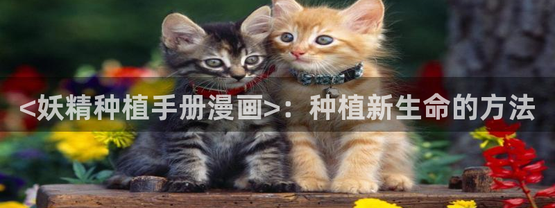 漫蛙漫画官网看：<妖精种植手册漫画>：种植新生命的方法