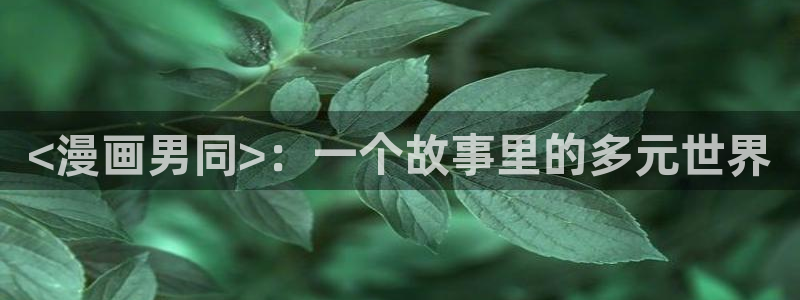 漫蛙漫画官方版正版入口网页下载：<漫画男同>：一个故事里的多元世界