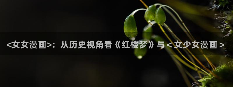 漫蛙崩了吗：<女女漫画>：从历史视角看《红楼梦》与＜女少女漫画＞