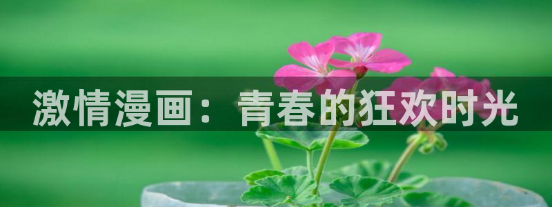 漫蛙漫画(网页入口)直接进入漫蛙：激情漫画：青春的狂欢时光