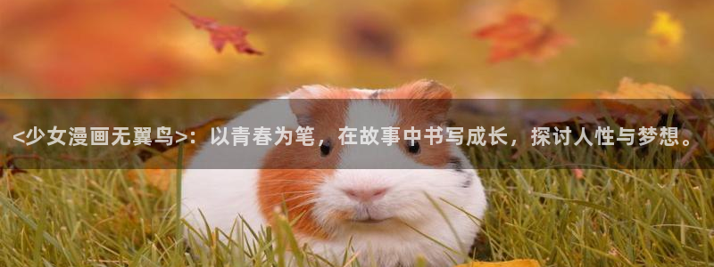 小蘑菇漫蛙：<少女漫画无翼鸟>：以青春为笔，在故事中书写成长，探讨人性与梦想。