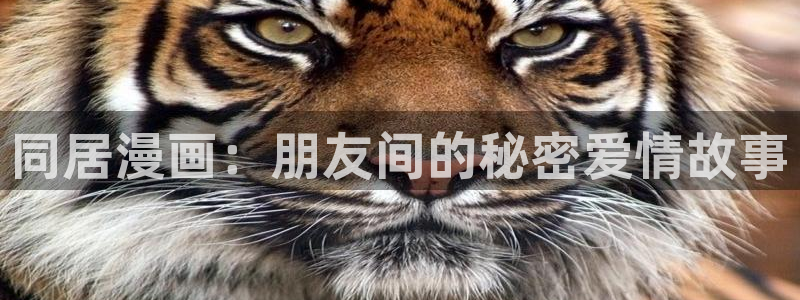 colossal漫蛙：同居漫画：朋友间的秘密爱情故事