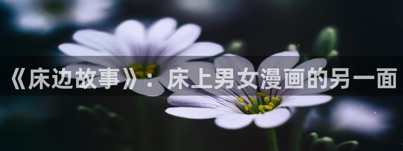 漫蛙manwa免费漫画入口页面：《床边故事》：床上男女漫画的另一面