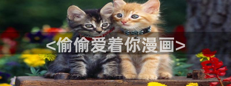 网页漫蛙：<偷偷爱着你漫画>