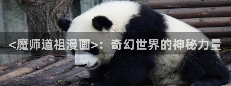 漫蛙是免费的吗：<魔师道祖漫画>：奇幻世界的神秘力量