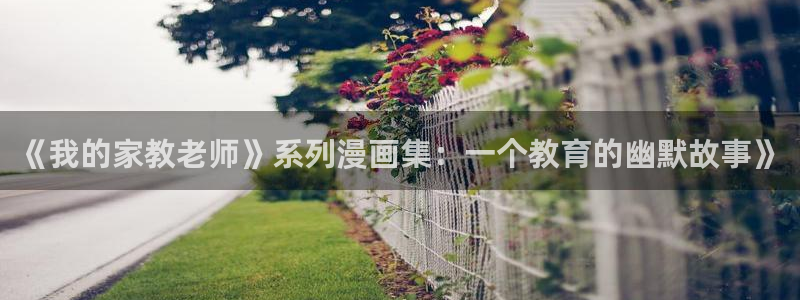 漫蛙网站版入口：《我的家教老师》系列漫画集：一个教育的幽默故事》