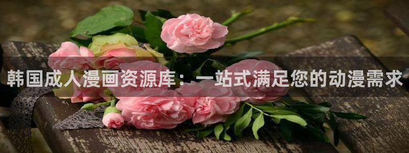 漫蛙漫画官方下载入口：韩国成人漫画资源库：一站式满足您的动漫需求