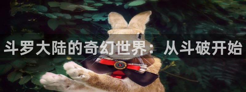 漫蛙2下载正版入口：斗罗大陆的奇幻世界：从斗破开始