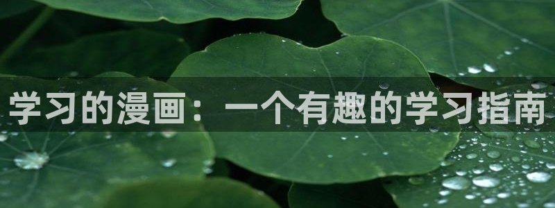 漫蛙2.0下载：学习的漫画：一个有趣的学习指南