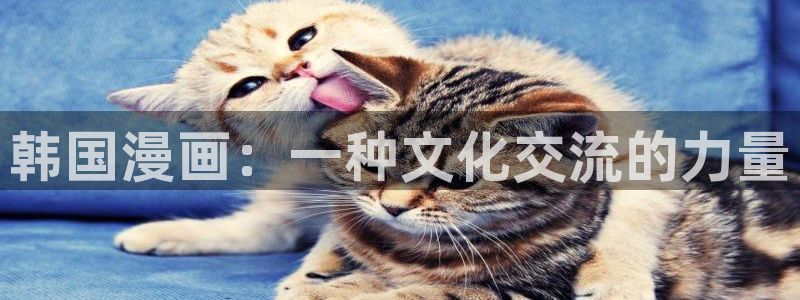 漫蛙怎么登录账号：韩国漫画：一种文化交流的力量