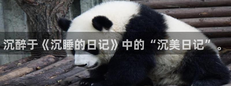 漫蛙在哪里找链接：沉醉于《沉睡的日记》中的“沉美日记”。