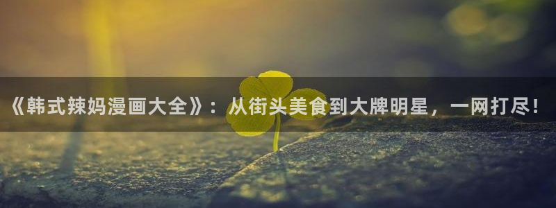 漫蛙旧版漫画下载：《韩式辣妈漫画大全》：从街头美食到大牌明星，一网打尽！